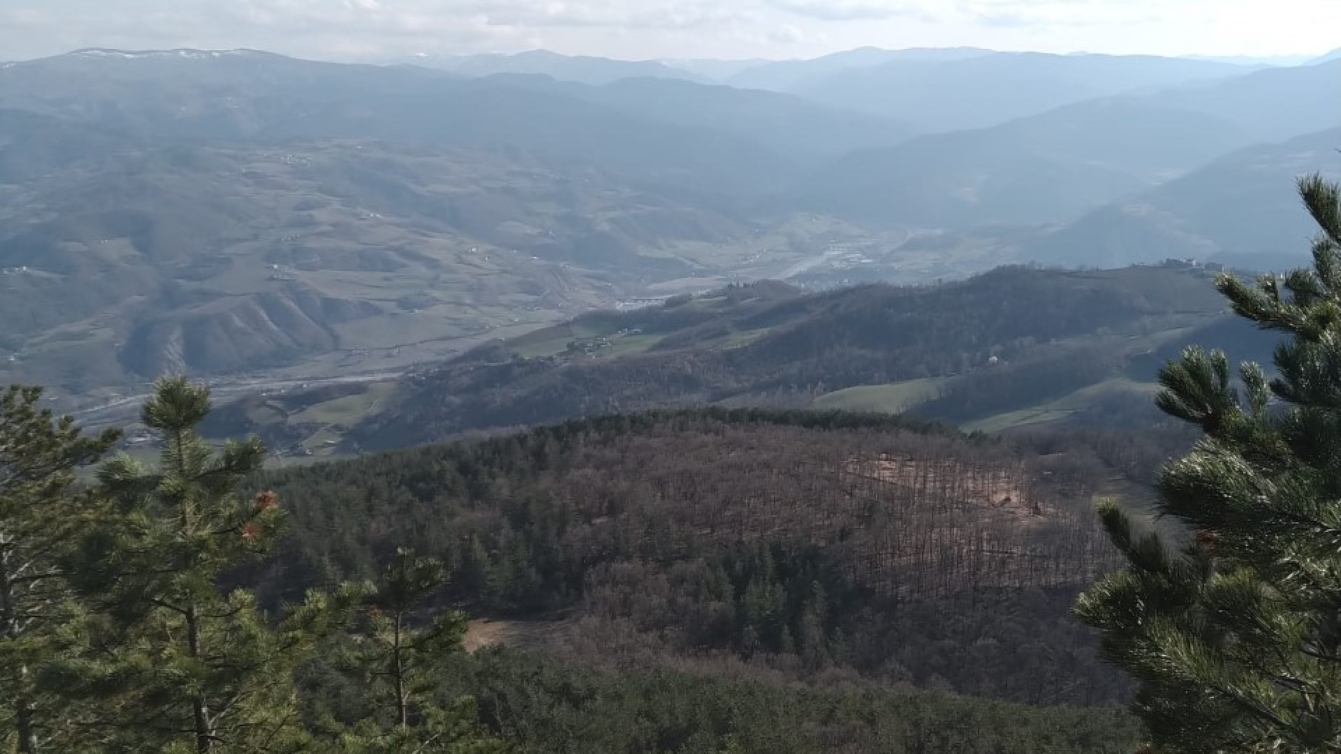 Pensieri in quota. Monte Pradegna, tra pini e rocce fino alla terrazza sulla natura