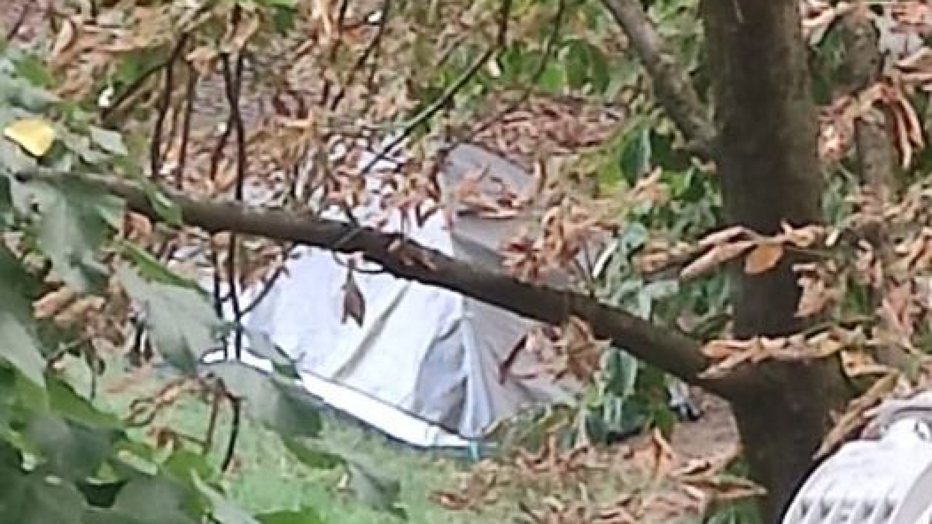 "Ai giardini di via Negri bivacchi e tenda nell'area per i cani": la segnalazione