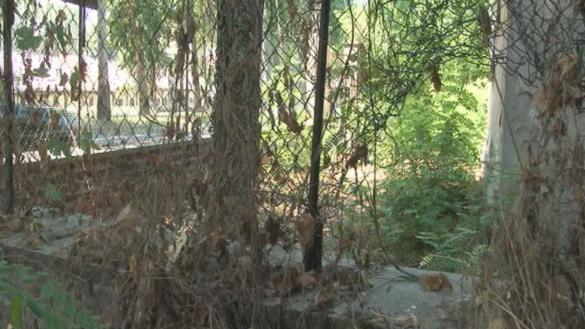 Bastione S. Sisto, sospetti ingressi abusivi: buco nella recinzione