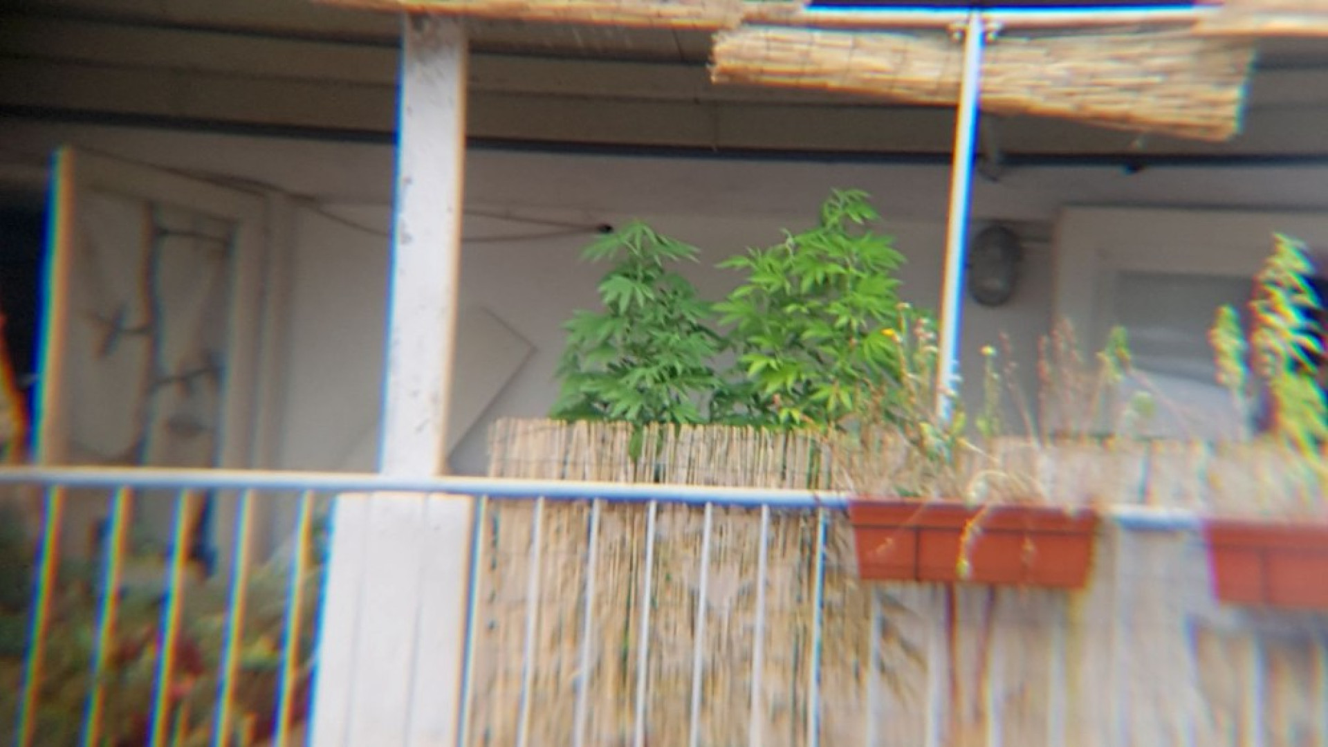Marijuana sul balcone in via Roma, denunciati due trentenni