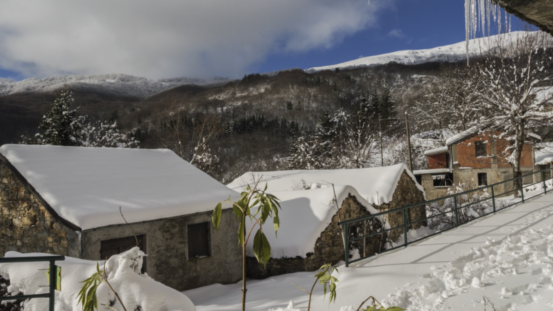 L'incanto invernale dell'Alta Val Boreca: un paesaggio da fiaba sotto la neve