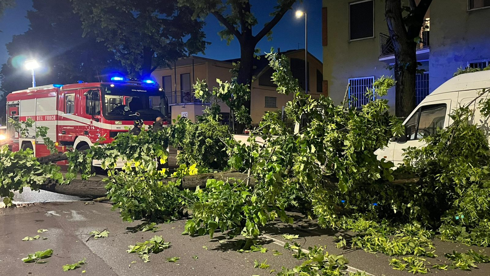 Paura in via Boselli, albero crolla in strada: danneggiata auto in sosta