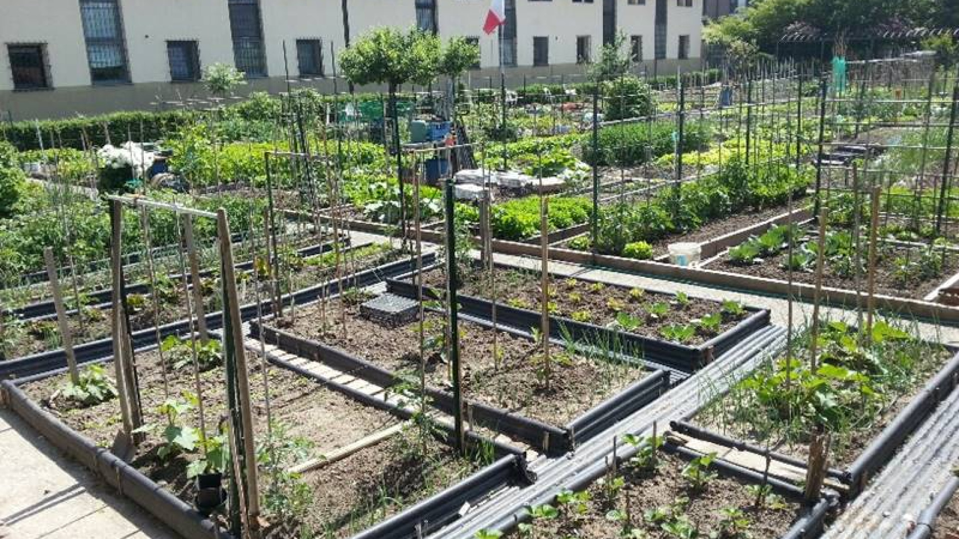 Gestione orti urbani, al via l'iter per l'approvazione del regolamento