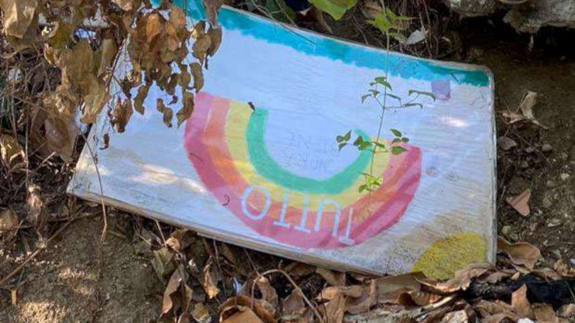 Discarica in via Penitenti, domenica "operazione pulizia" con Plastic Free