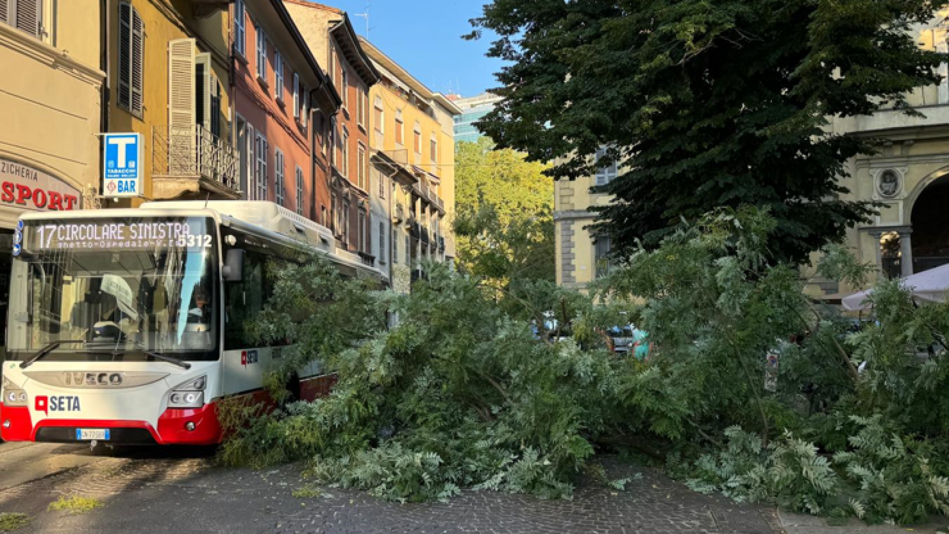 Paura in via Alberoni: grosso ramo si stacca e crolla in mezzo alla strada