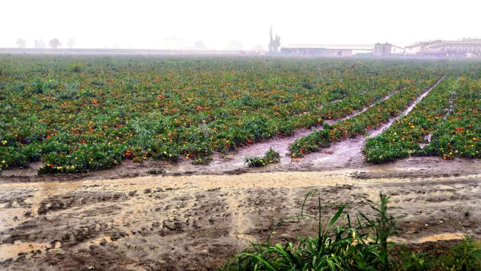 Partita la conta dei danni, temperature in picchiata. Da lunedì torna il sereno