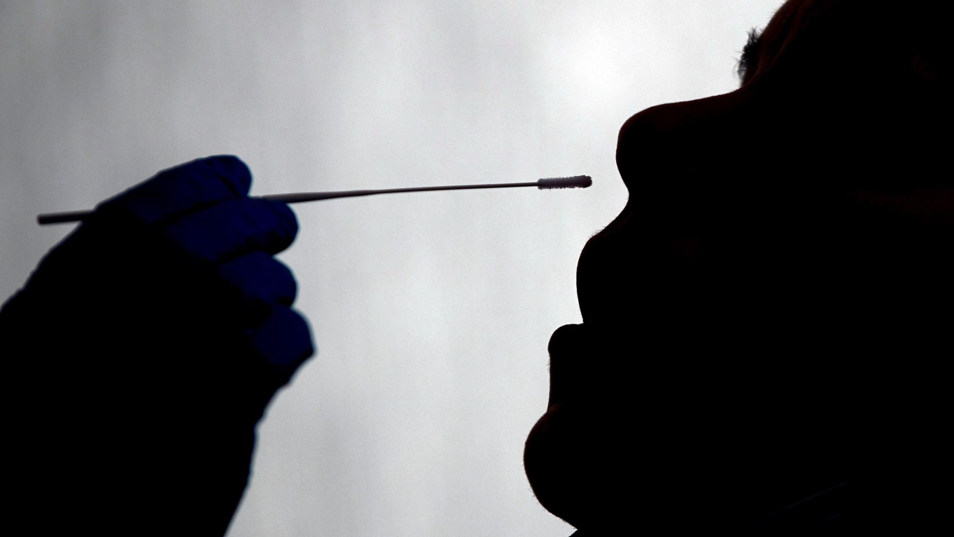 Partito l'autotesting con tampone rapido antigenico: 1.240 in tutta la regione
