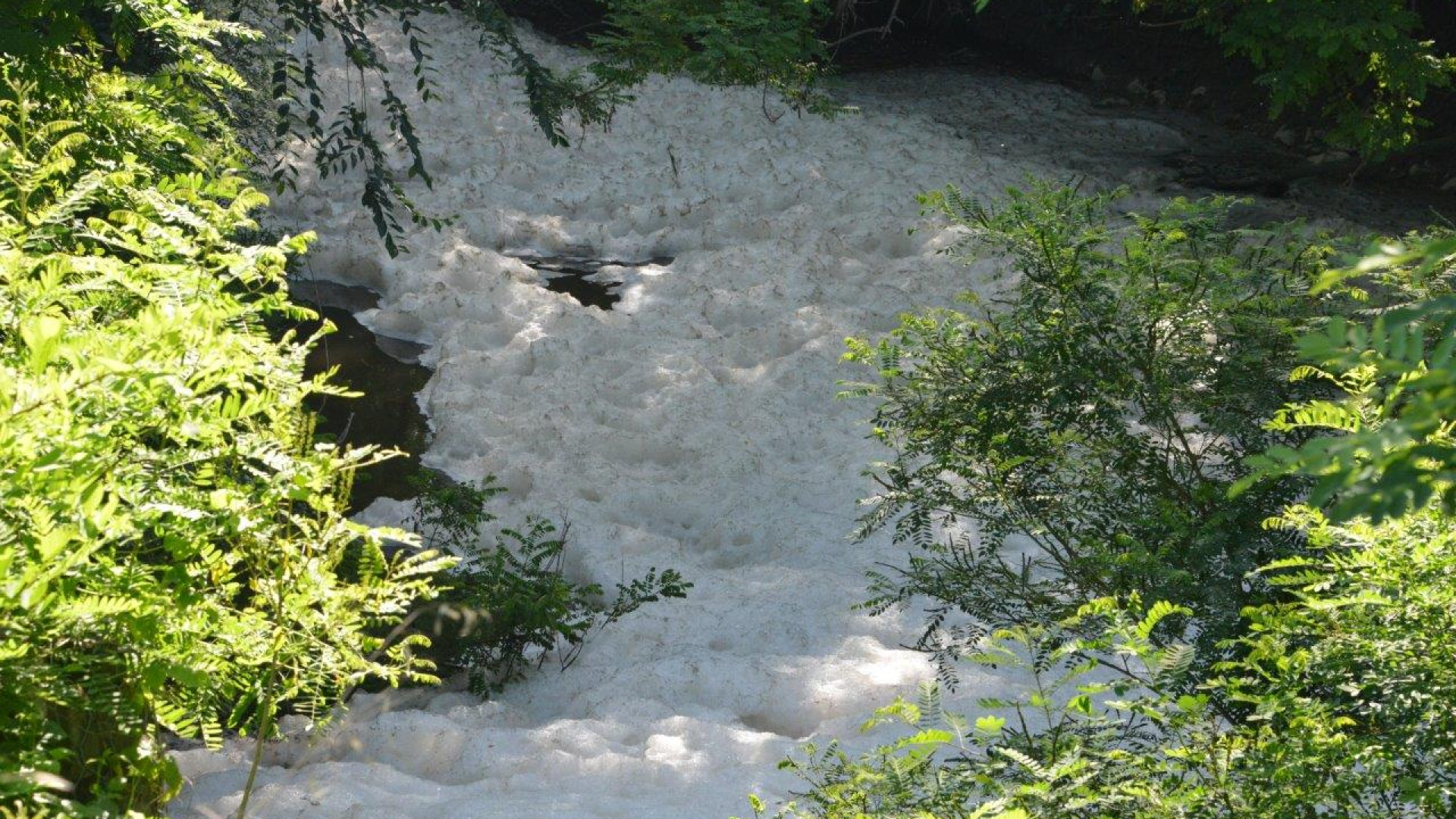 Ancora sversamenti nei fiumi: schiuma bianca, piange l'Arda