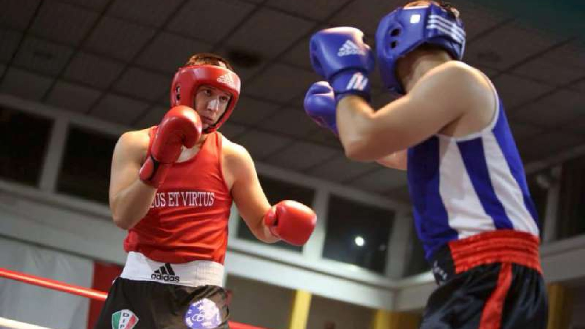 Boxe al palazzetto di via Alberici: domenica otto match