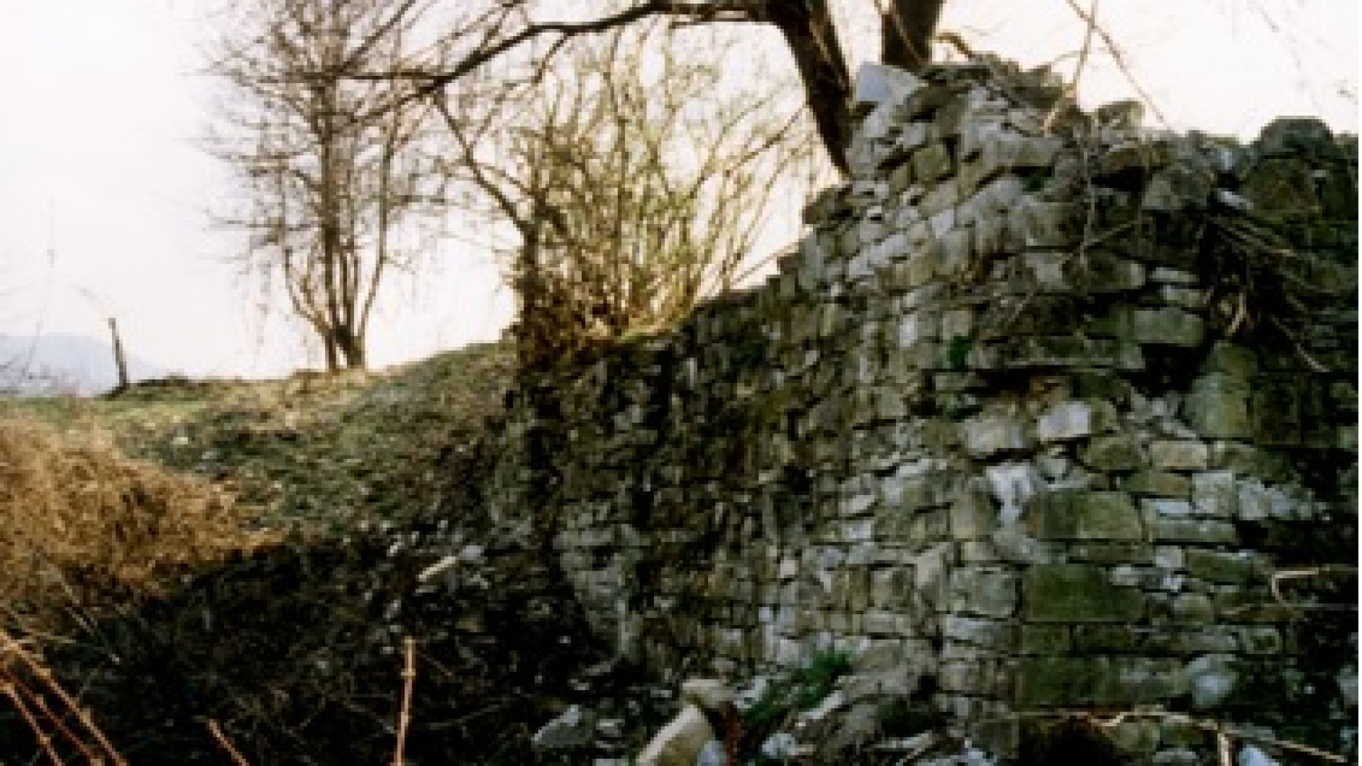 Monastero di Morfasso: progetto per preservare i resti dell'abbazia