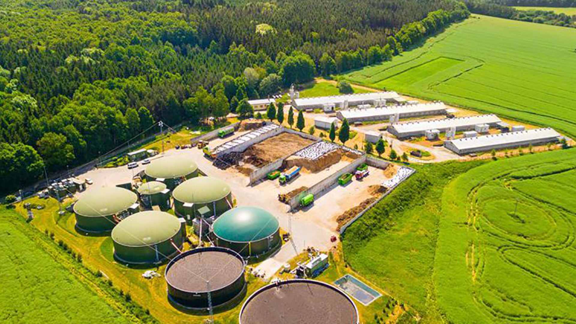 Biogas e biomasse, ok extra produzione senza permessi. Ma non sarà incentivata