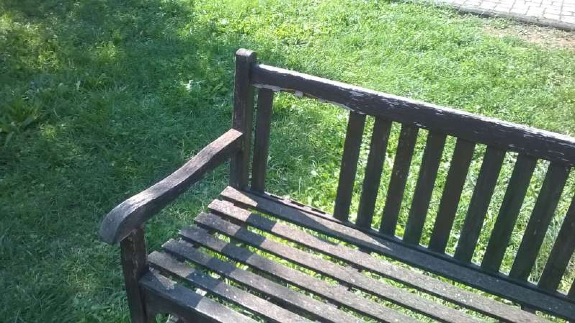 Gossolengo, "Luci (a Led) e ombre sul campo giochi". Lamentela di un residente