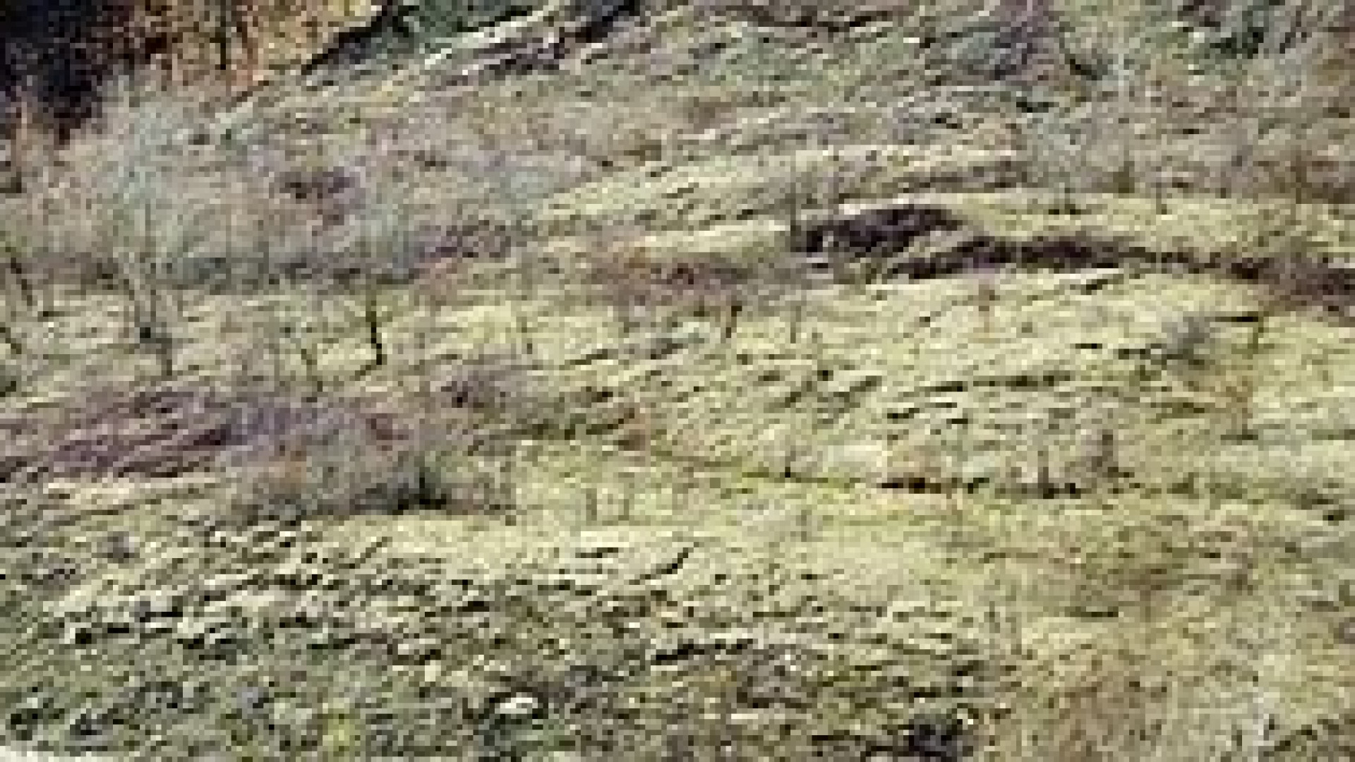 “Adotta la terra” addio: il progetto della Provincia non sarà più finanziato