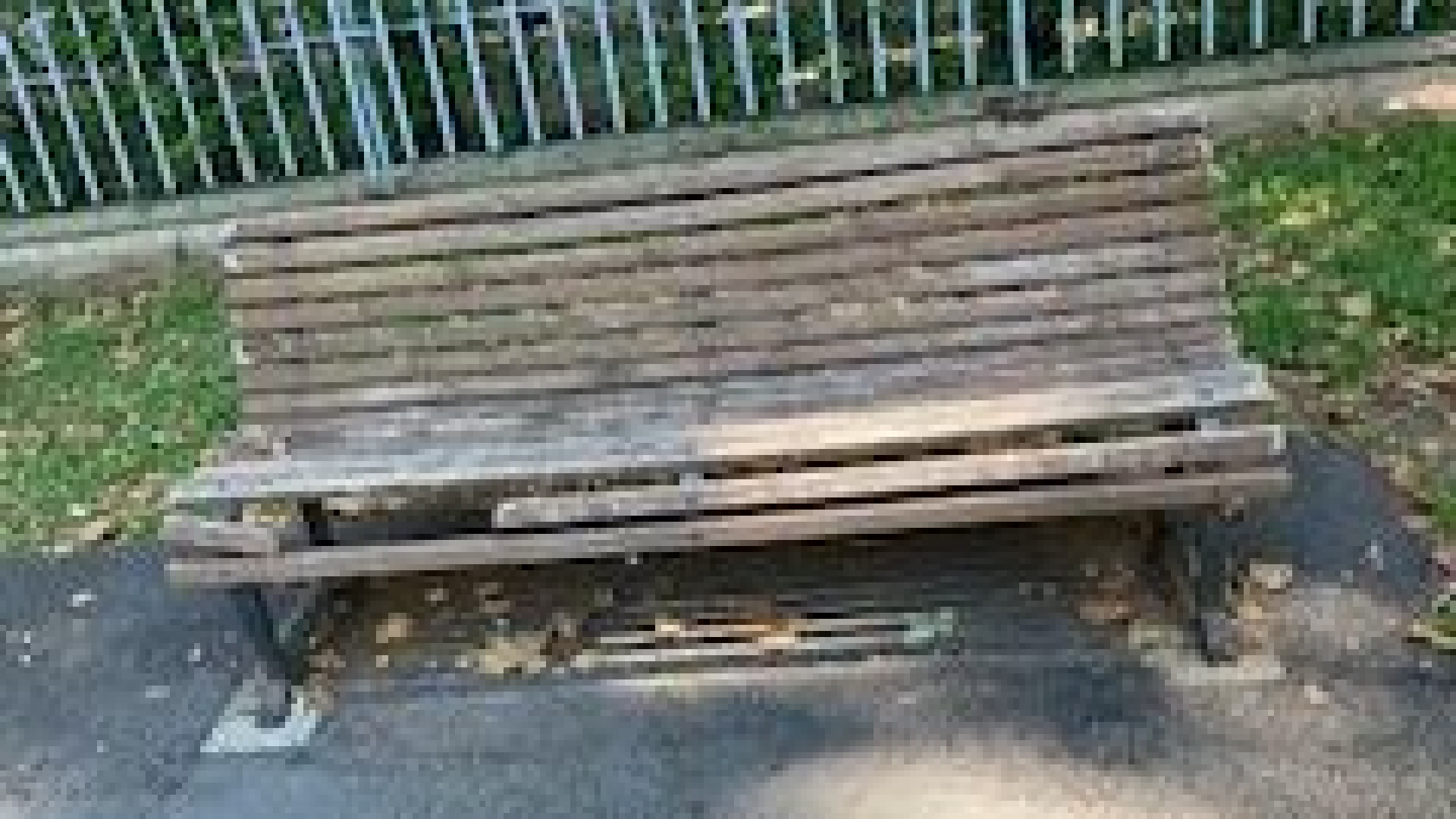 Facsal, la protesta: "Panchine rotte e verde trascurato"