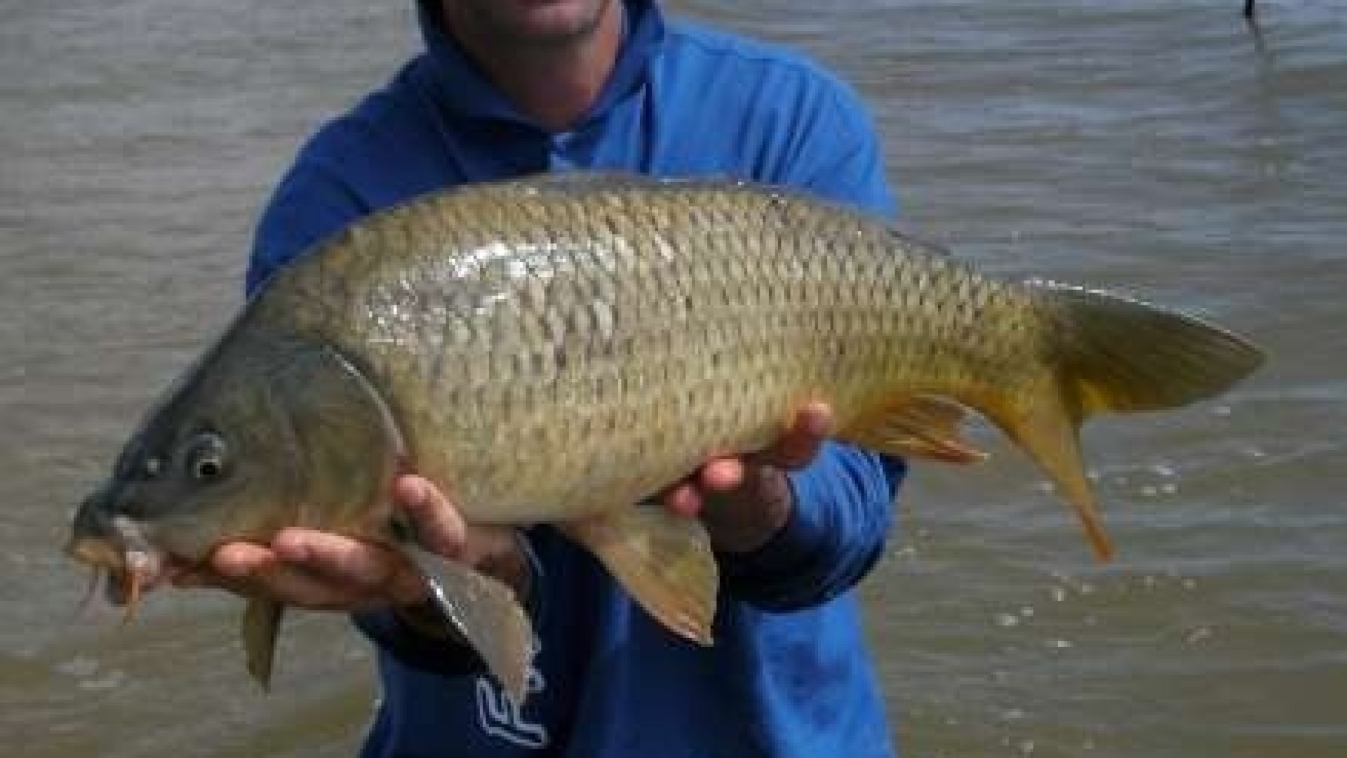 De Pascalis, il fenomeno piacentino di pesca sportiva a caccia del tris tricolore