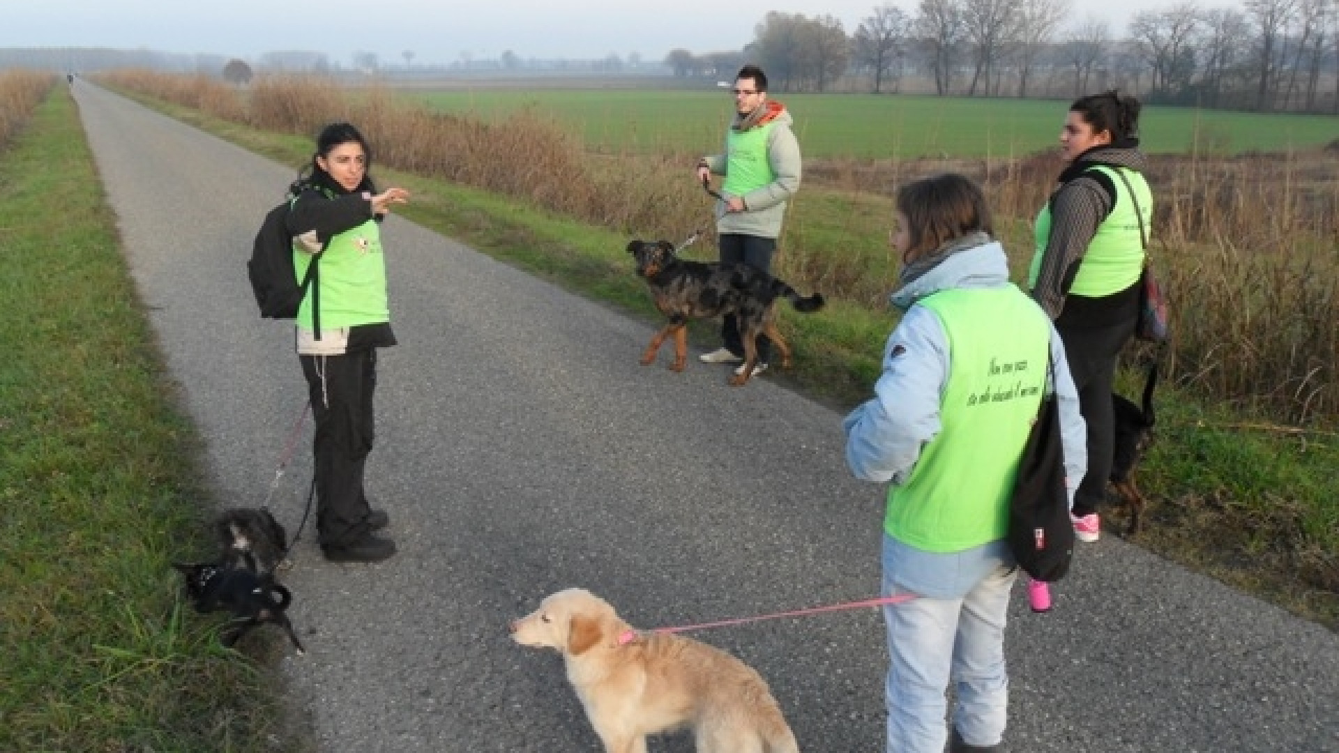 Gli amici a 4 zampe a "Penelope": ospite l'istruttrice Virginia Dallara