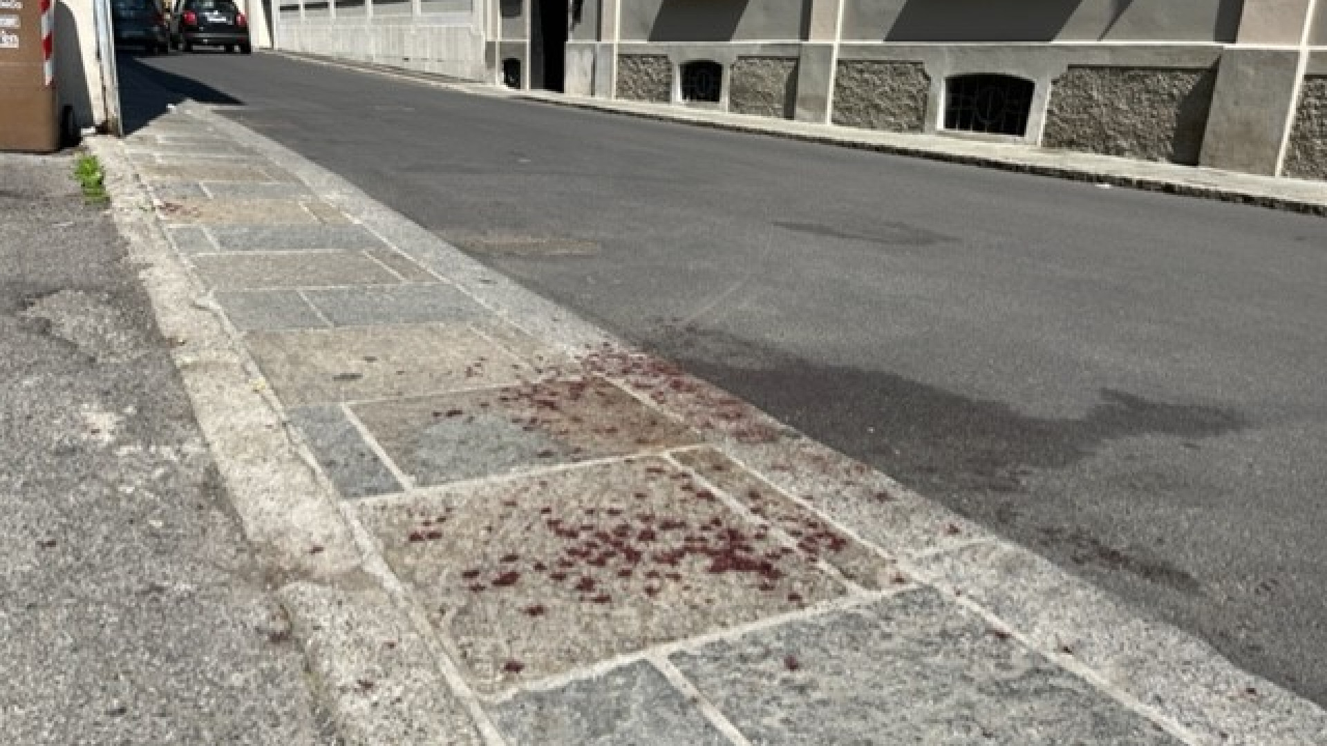 Urla, rissa e sangue in via delle Benedettine. I residenti: "Abbiamo paura"
