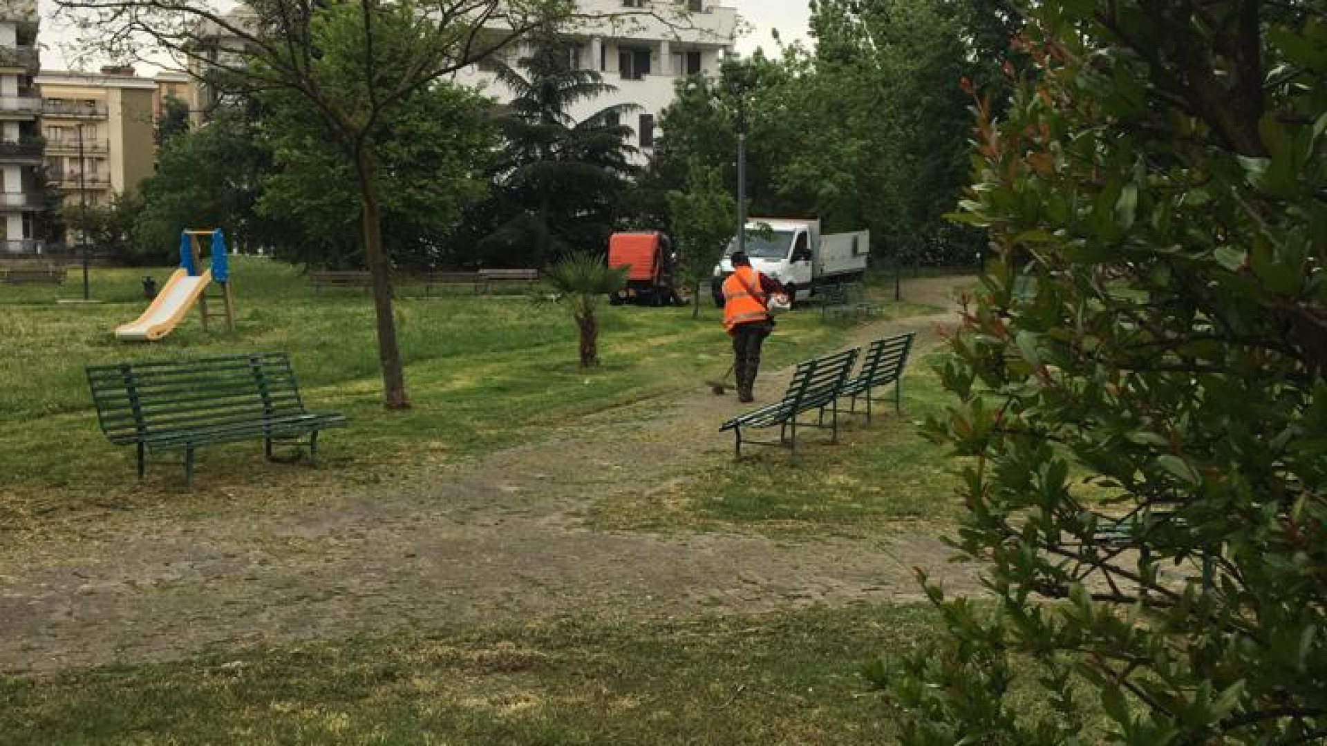 Riprende la manutenzione del verde, Mancioppi: "Recuperiamo i ritardi"