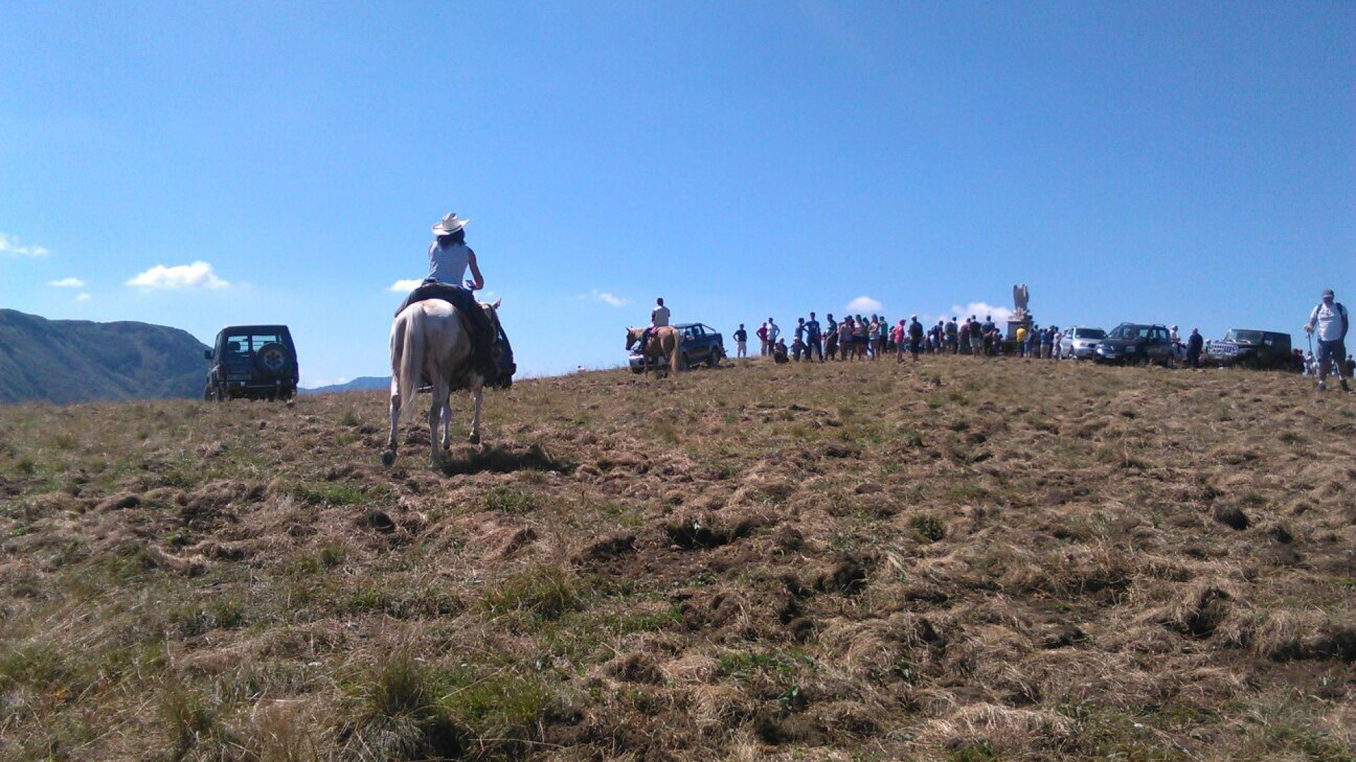 Crociglia, allarme cinghiali. Pascoli devastati. Il sindaco: "Occorre intervenire"