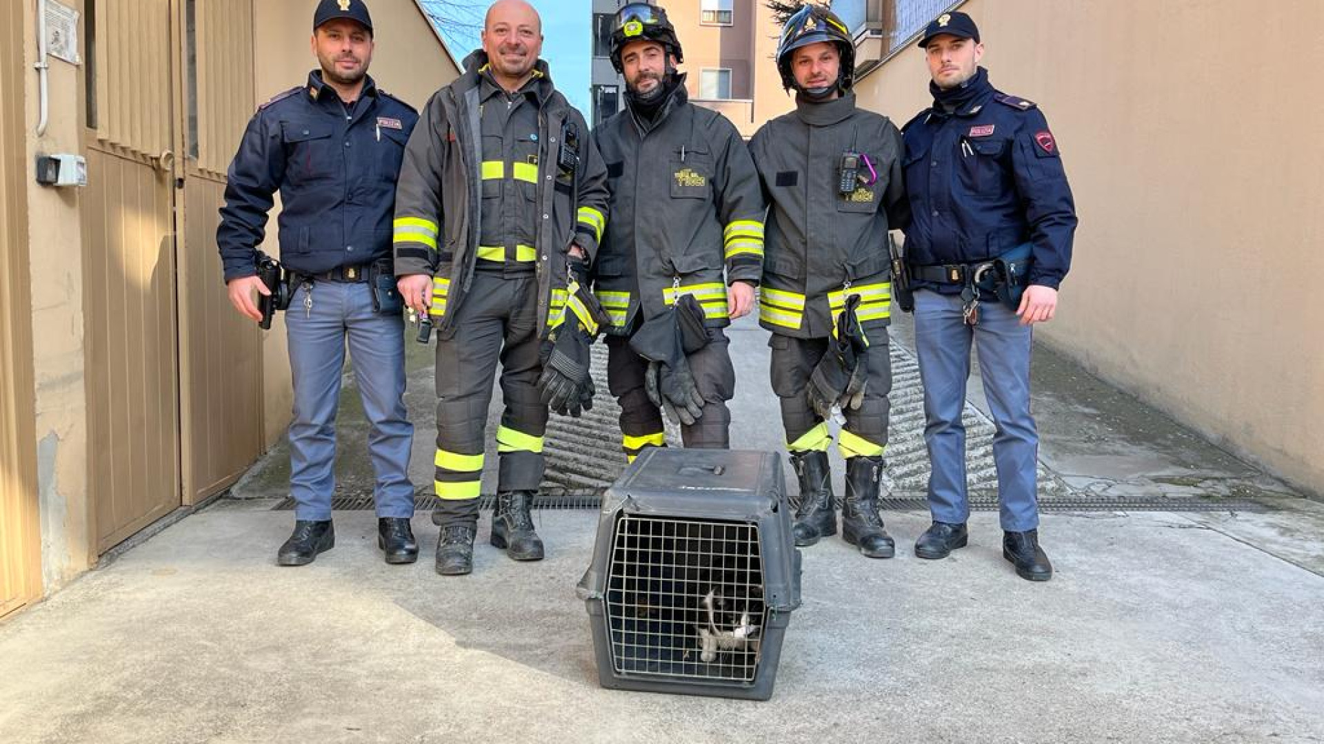 L'anziana padrona è ricoverata: polizia e vigili del fuoco salvano il suo gattino