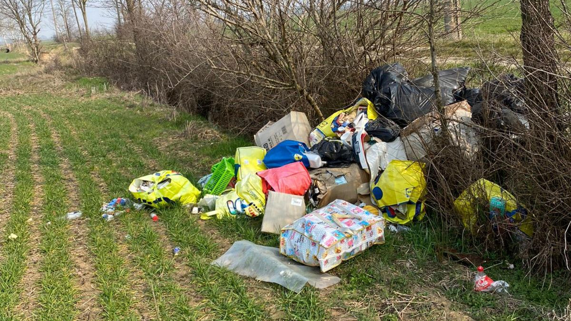 Rifiuti abbandonati sulle colture. Confagricoltura: "Gesti irresponsabili"
