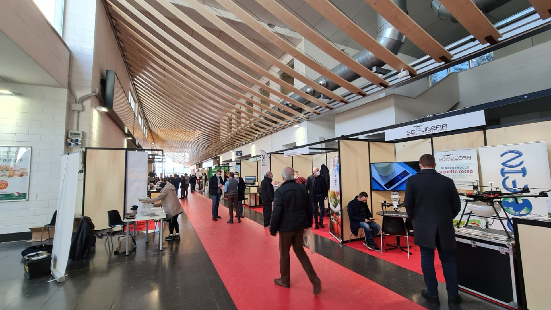 Carenza d'acqua, campagna del pomodoro a rischio : l'allarme a Tomato World