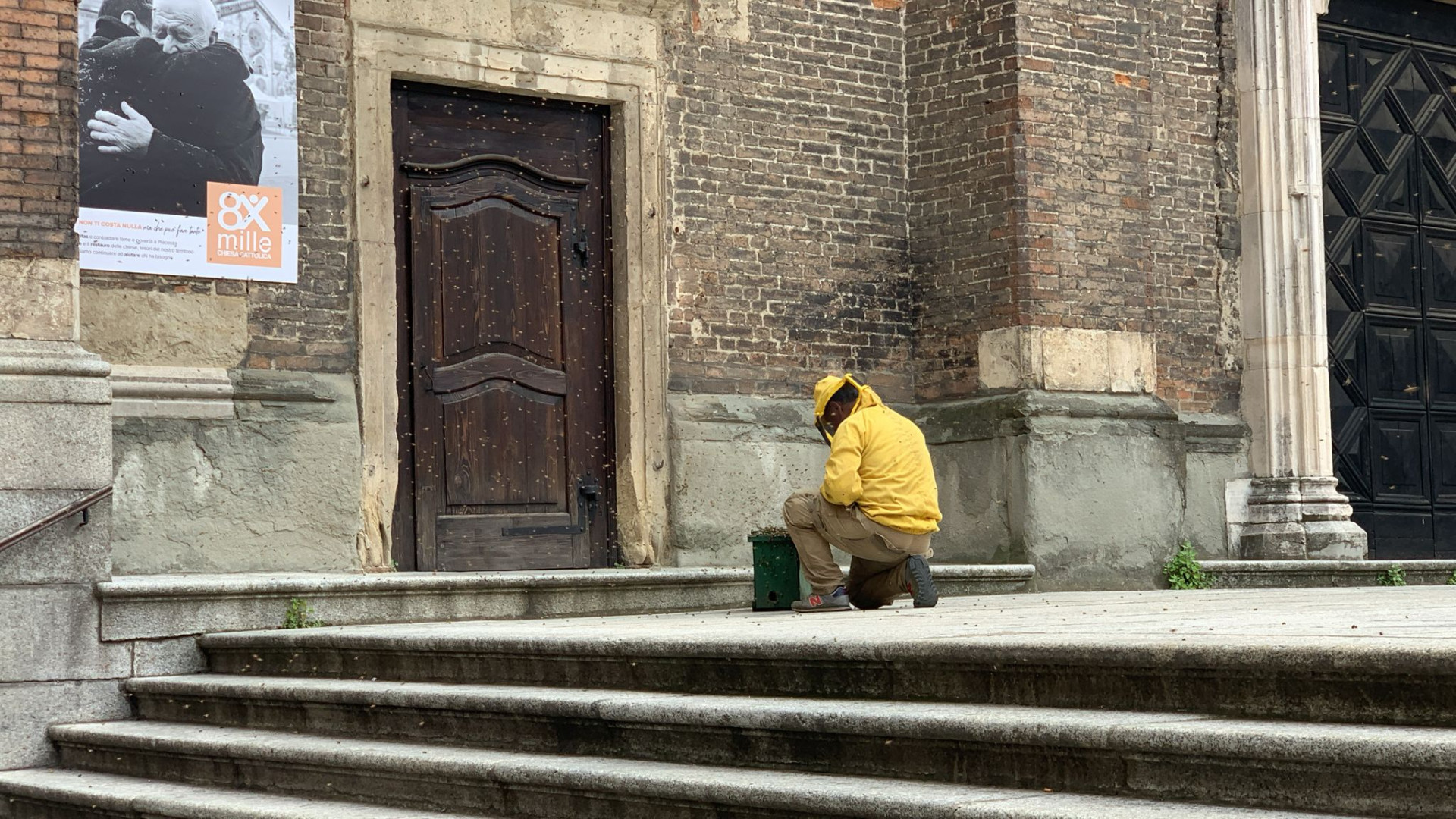 Sciame d'api sulla chiesa di San Francesco: aumentano gli avvistamenti in città