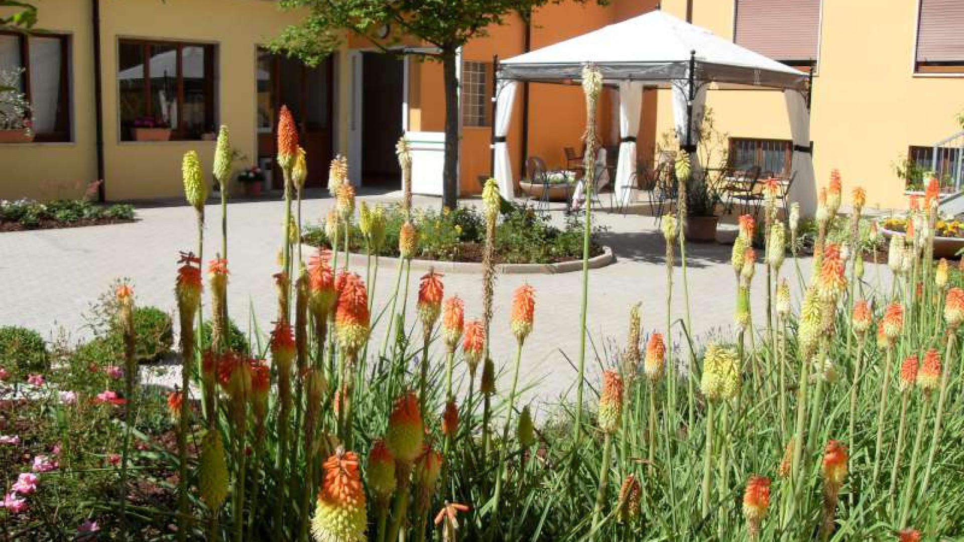 "La persona al centro": nella Giornata del sollievo riflettori sull'hospice di Borgonovo