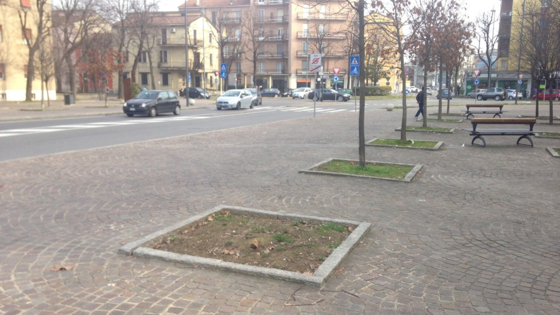 Buchi vuoti nelle piazze e nei viali alberati, la video denuncia del TGL PIU'