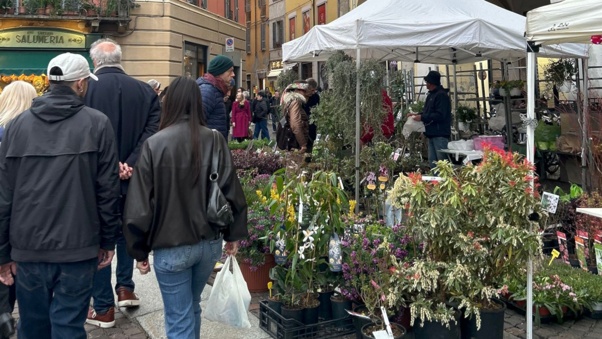 Il cielo grigio non ferma la primavera: in tanti tra i profumi di Piacenza in Fiore