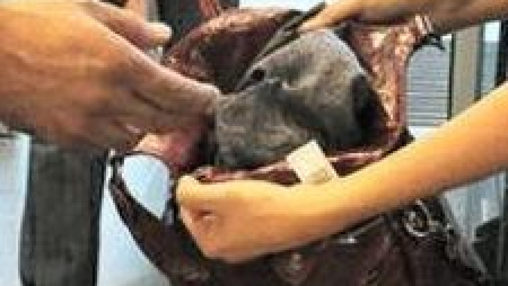Furti nei negozi: quattro denunce, nei guai anche due 15enni piacentine