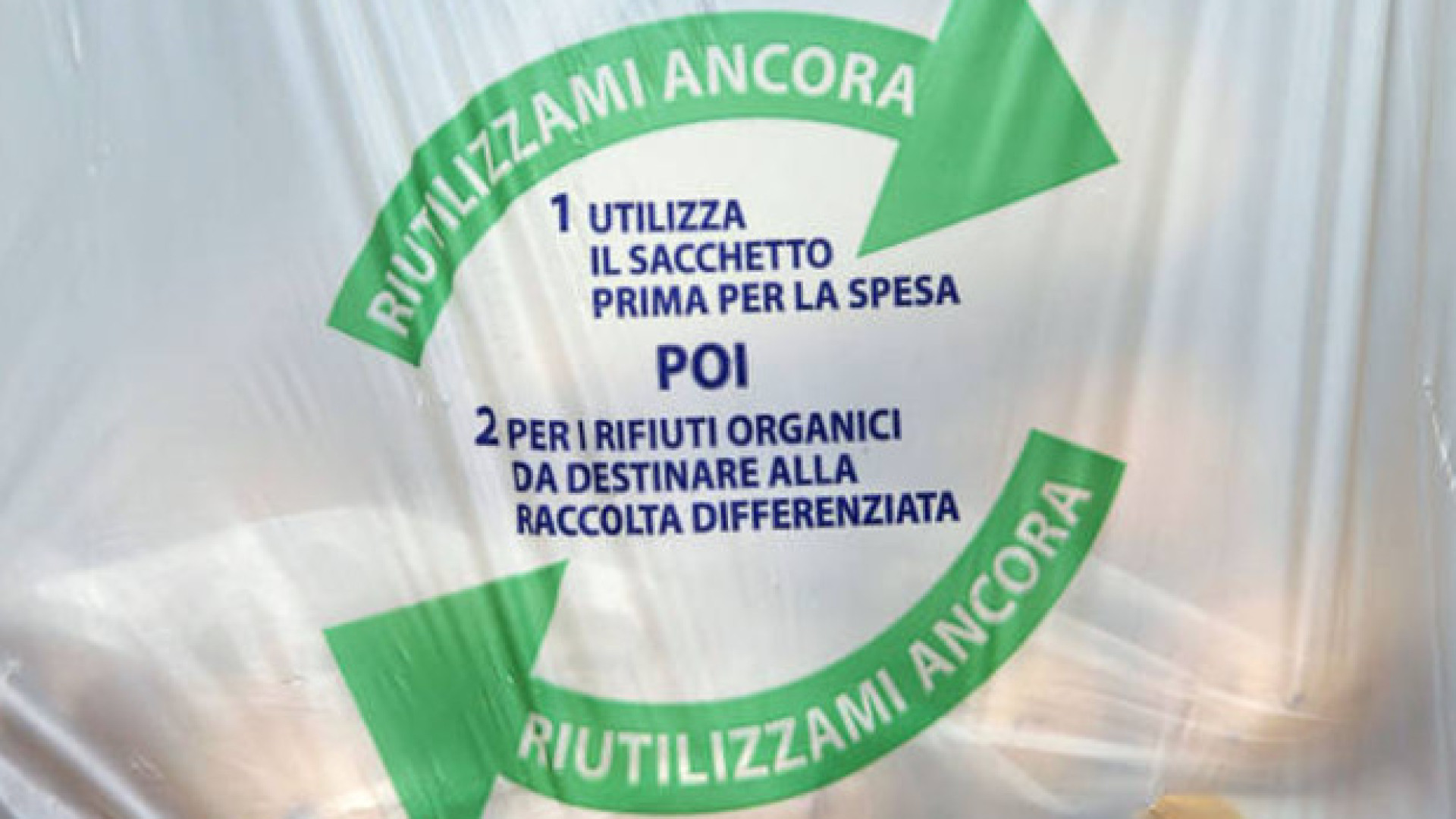 Biodegrabilità dei materiali bioplastici: studio della Cattolica