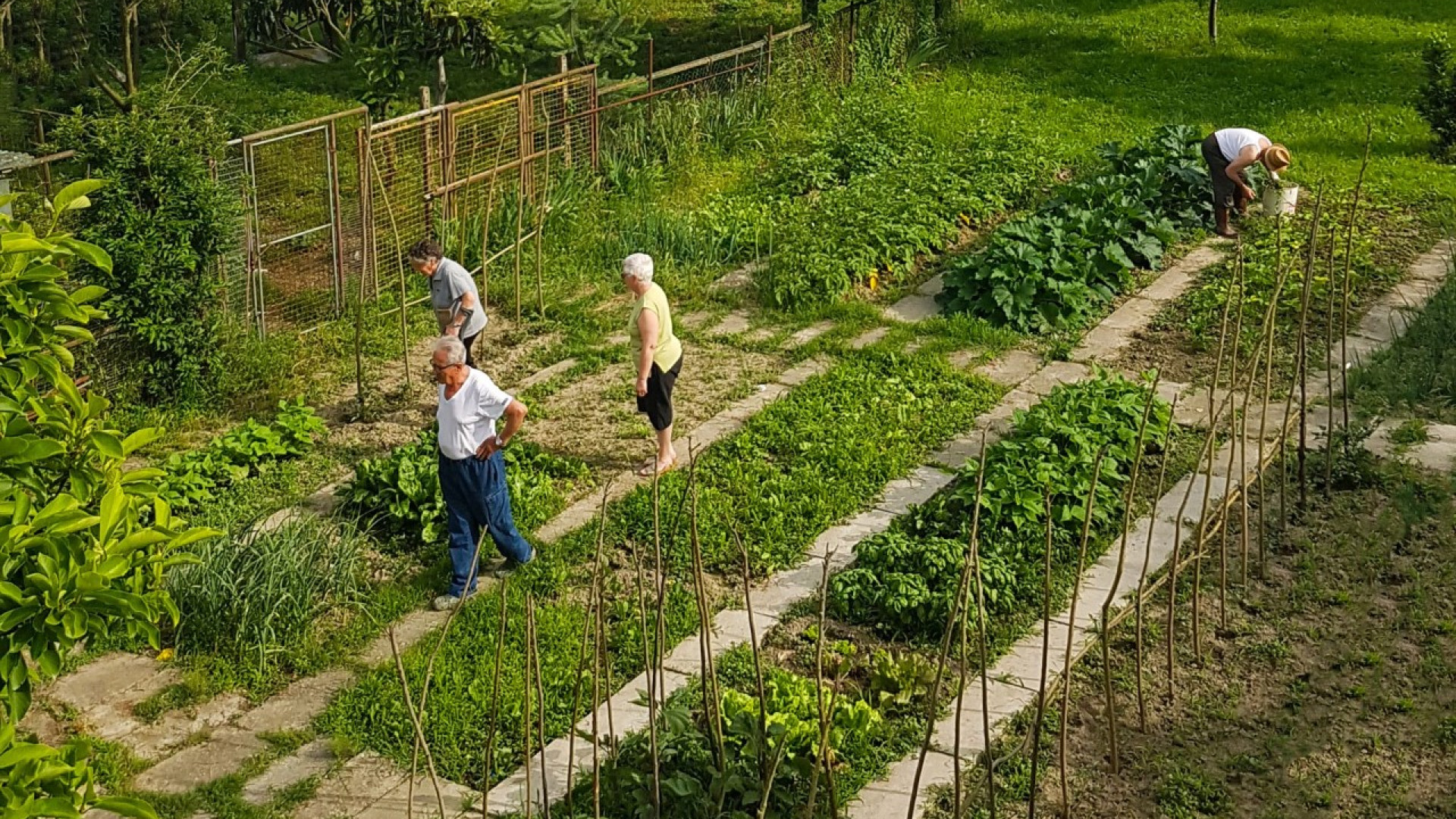 Azienda piacentina vince il bando nazionale sull'agricoltura sociale