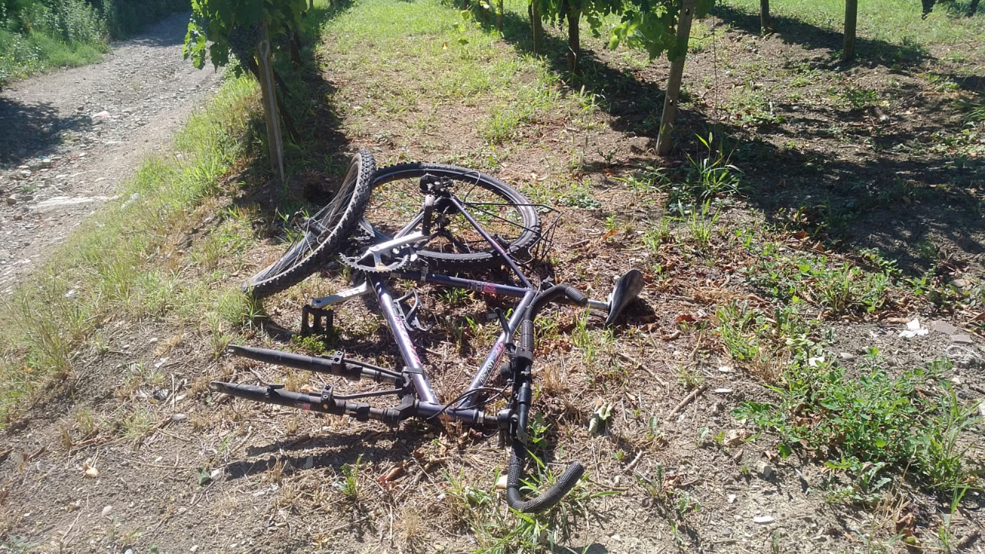 Cade con la mountain bike: giovane portato a Parma in eliambulanza