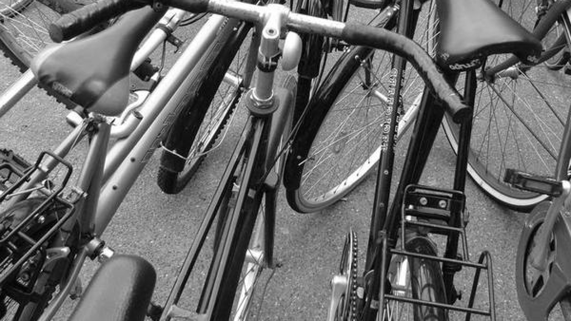 Porta a riparare la bicicletta, dopo un anno gliela vendono