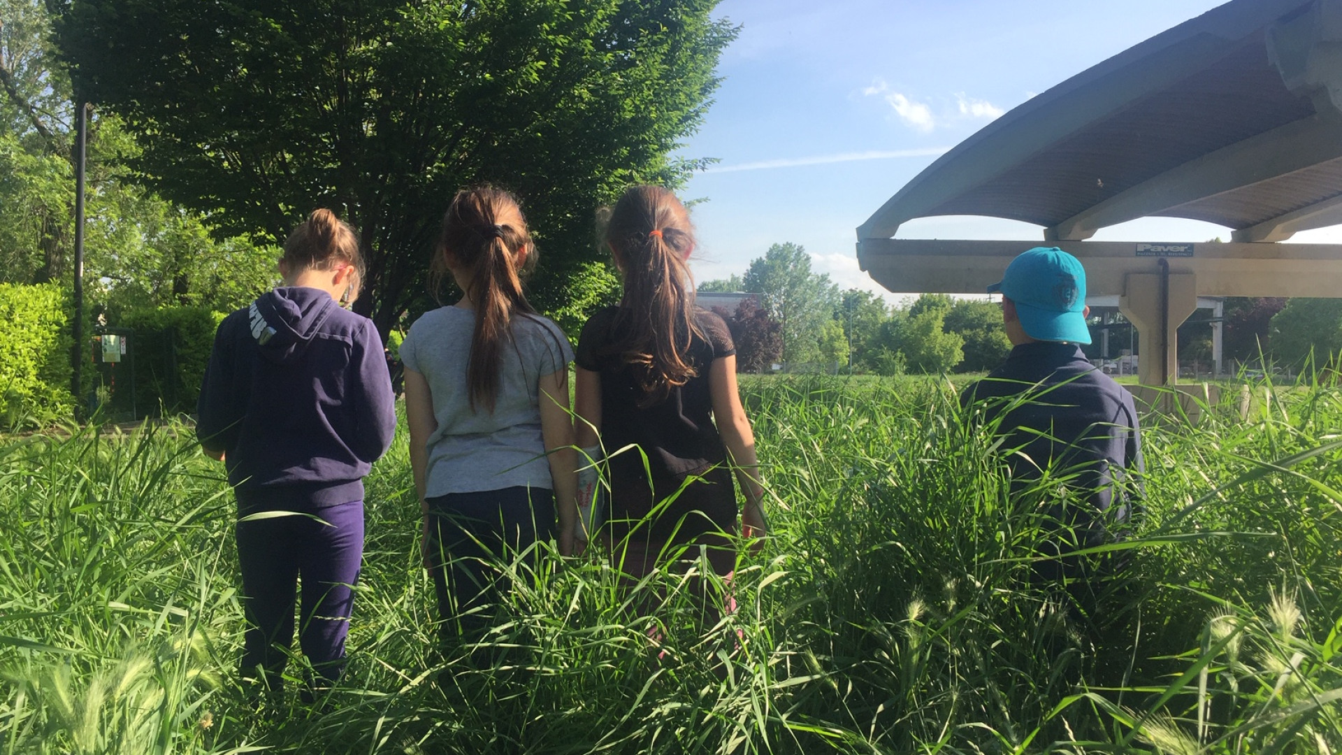 Parchi giochi, giardini pubblici e ciclabili invasi dall’erba alta. "Arbusti alti come bambini"