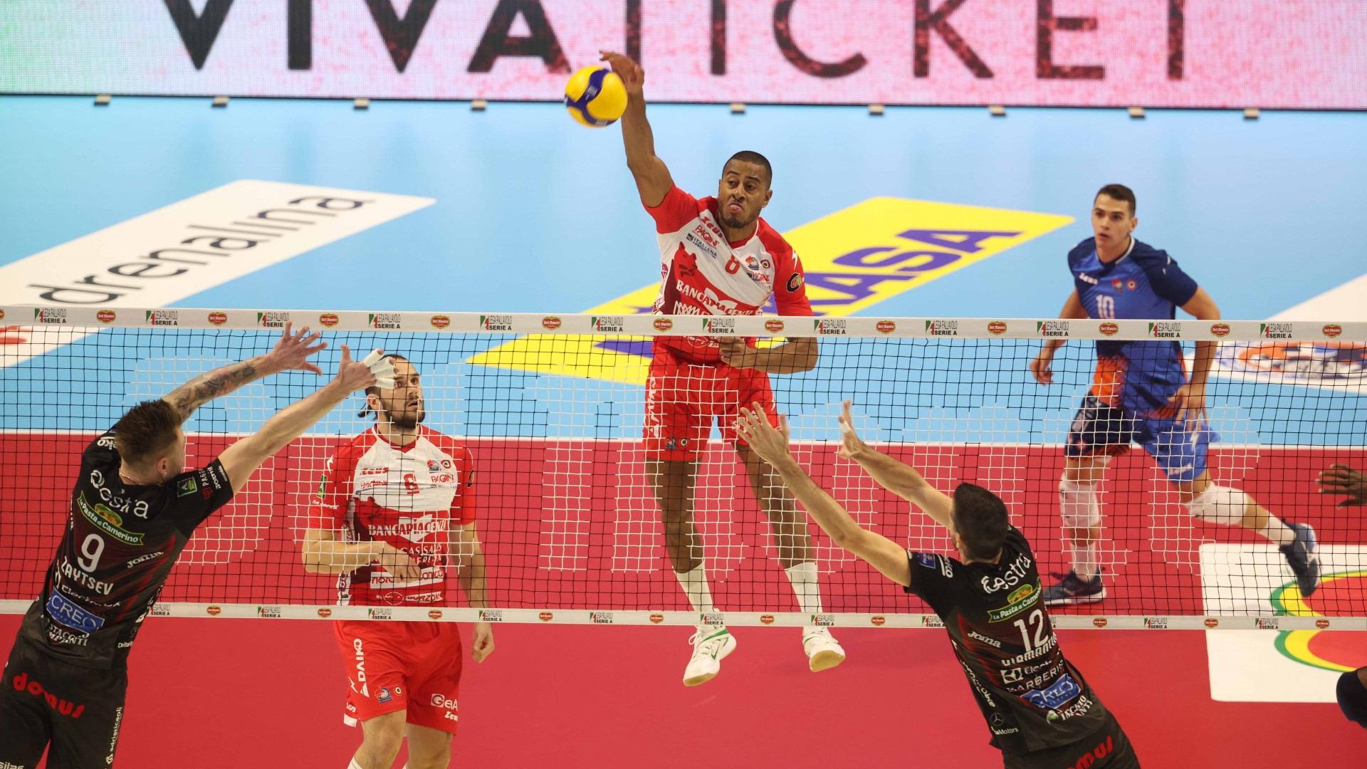 Gas Sales Bluenergy domani affronta Farmitalia Catania. Scanferla: "Partita difficile"