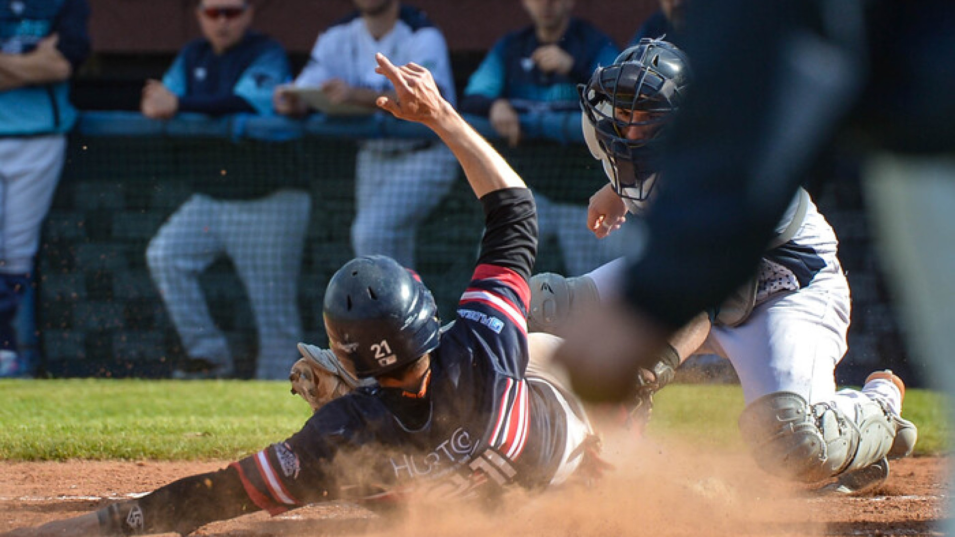 Serie A Baseball: i calendari della seconda fase