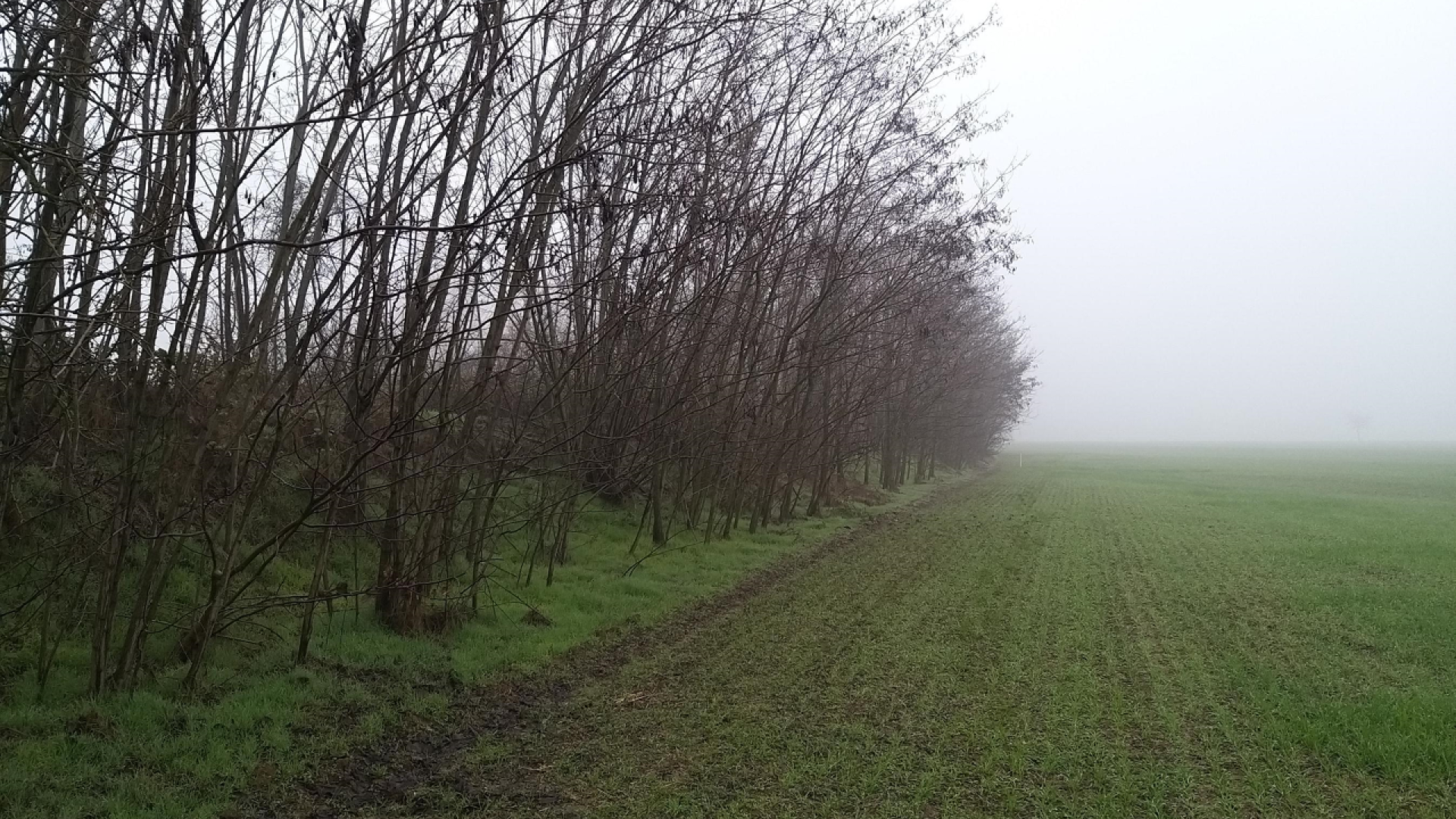 Lavori per i torrenti Riglio e Chiavenna, dalla regione 100mila euro