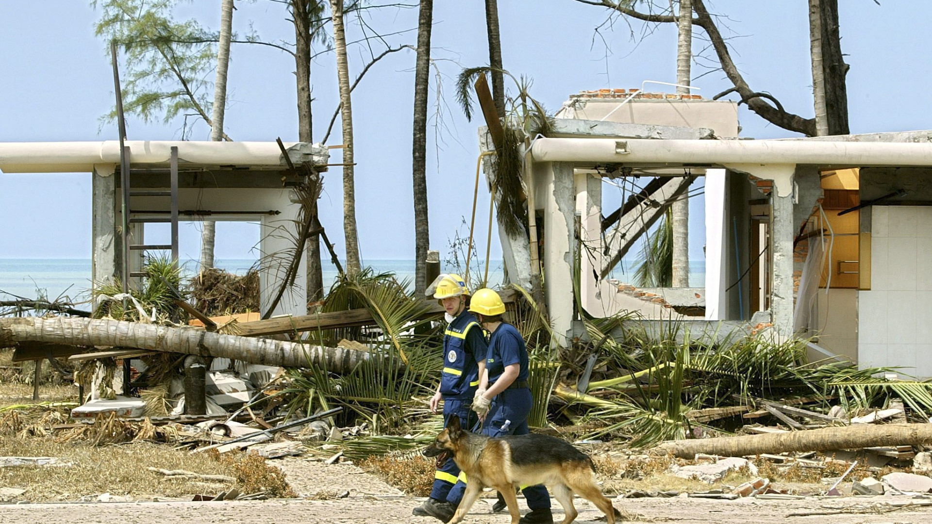 Tsunami 20 anni dopo: commemorate le vittime, tra cui la coppia piacentina
