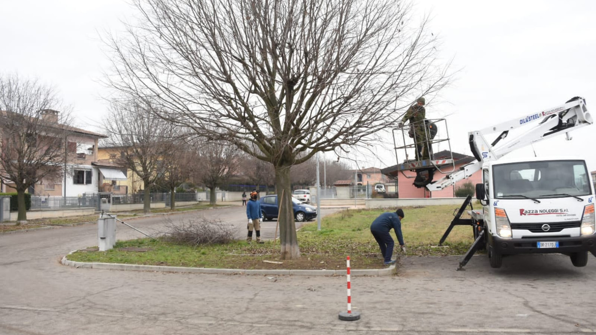 Verde pubblico, a Sarmato potati 75 alberi. Nessuno risulta a rischio caduta