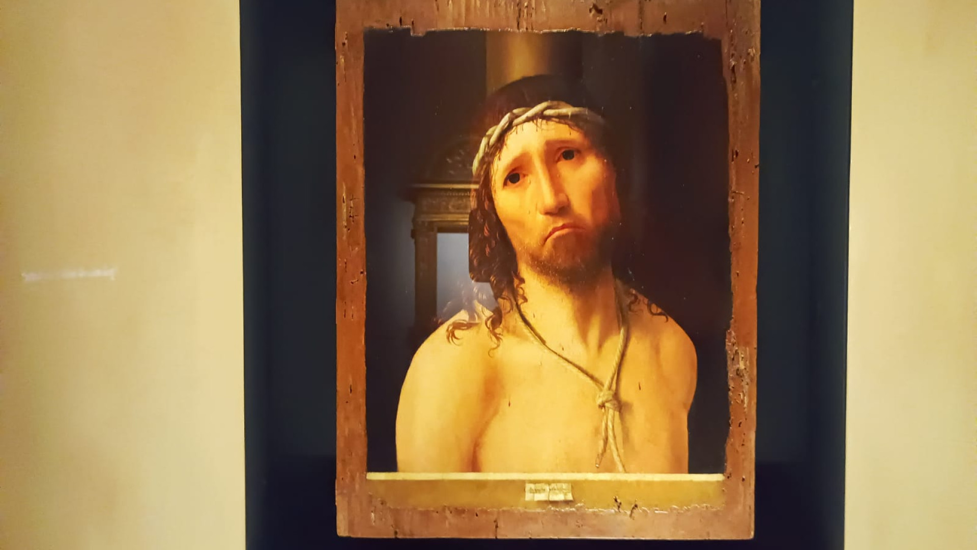 Collegio Alberoni, l'Appartamento del Cardinale riapre dopo il restauro