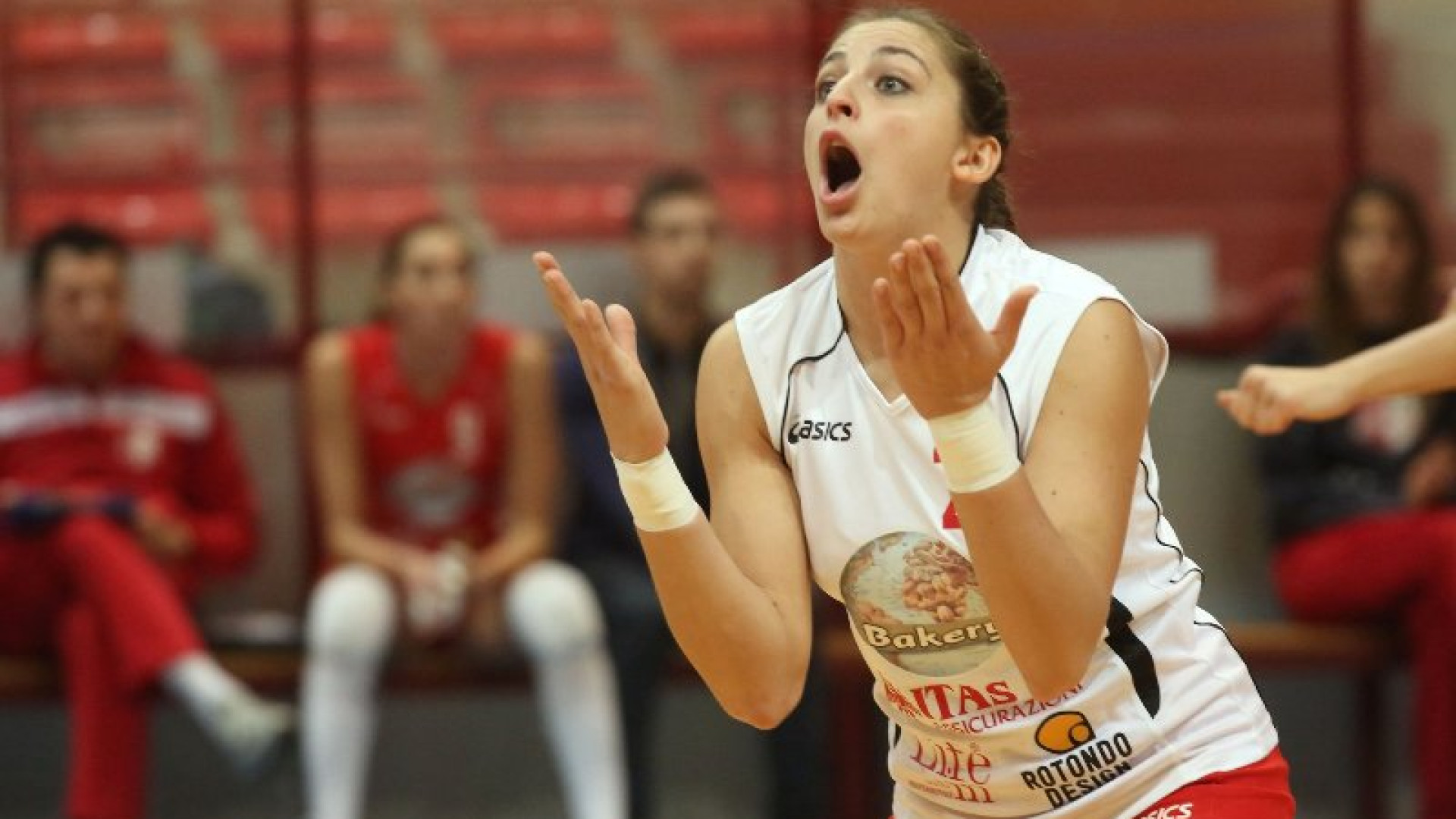 Volley femminile, B1: giornata nerissima per le piacentine a una settimana dal derby