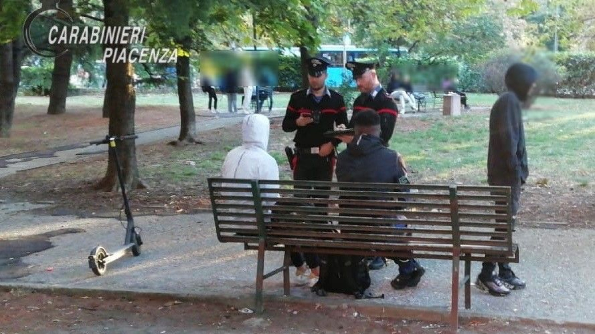 Il cane Draco scova un pezzo di hashish nei giardini vicino al Cheope