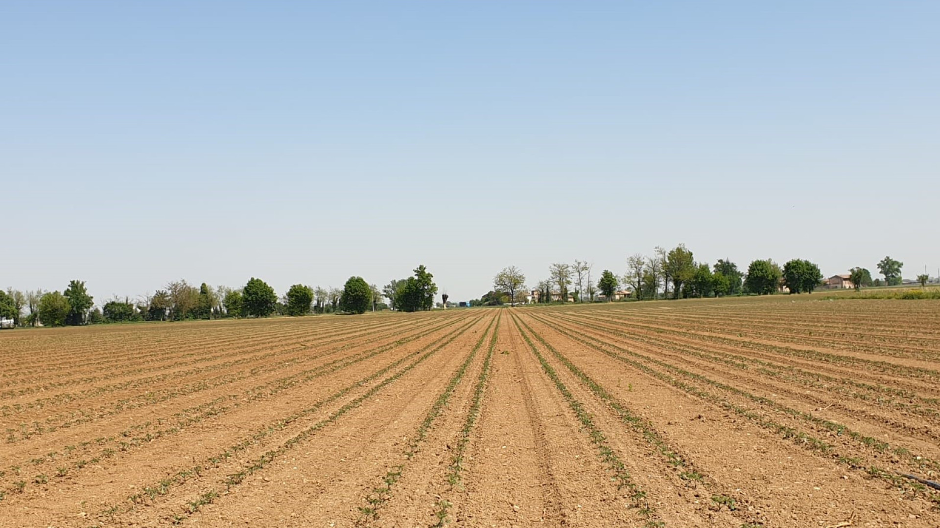 Agricoltura di una volta, addio. Ora spazio a computer e Gps