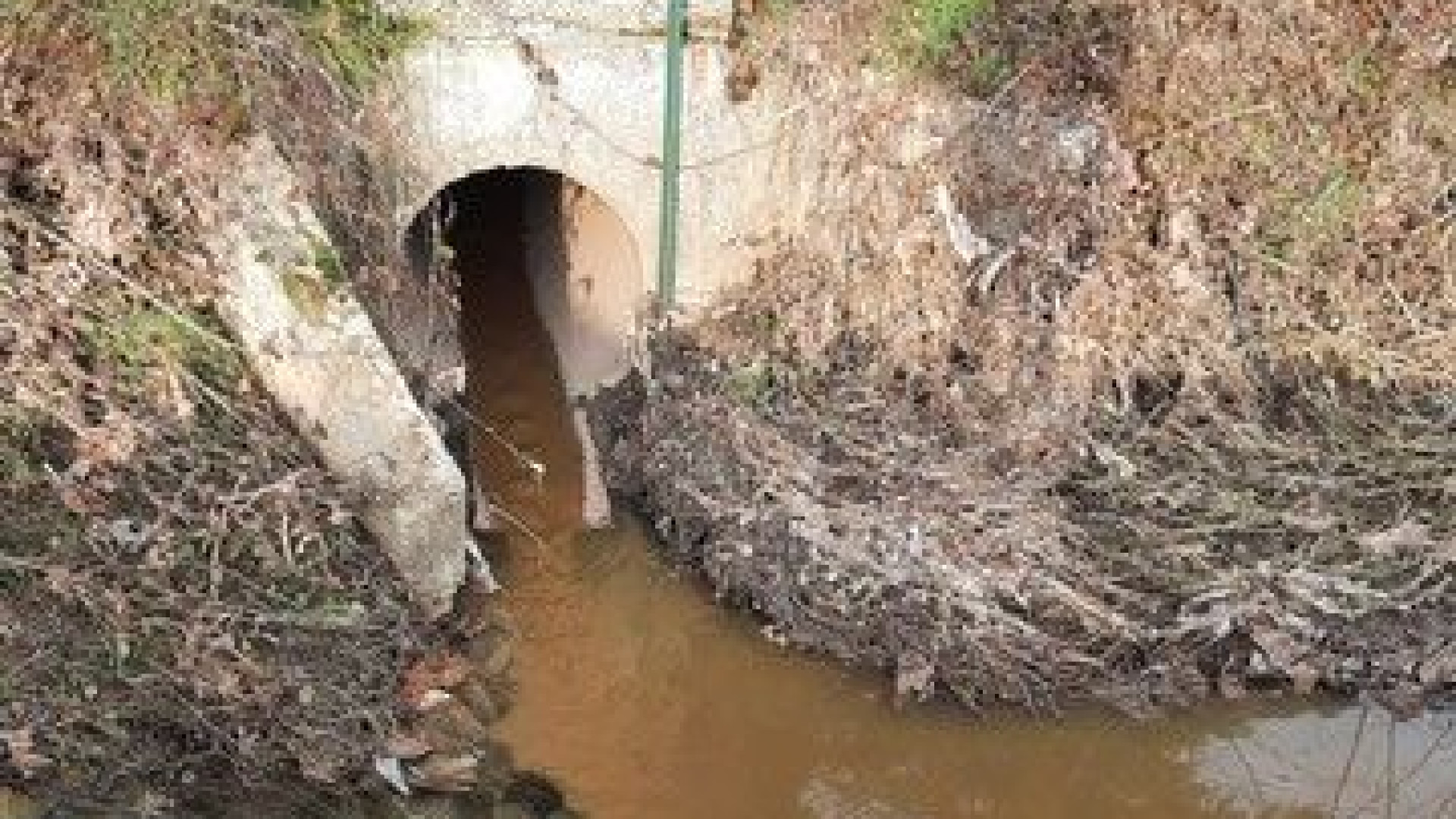 Pontenure, i residenti "Nel canale uno scarico a cielo aperto"