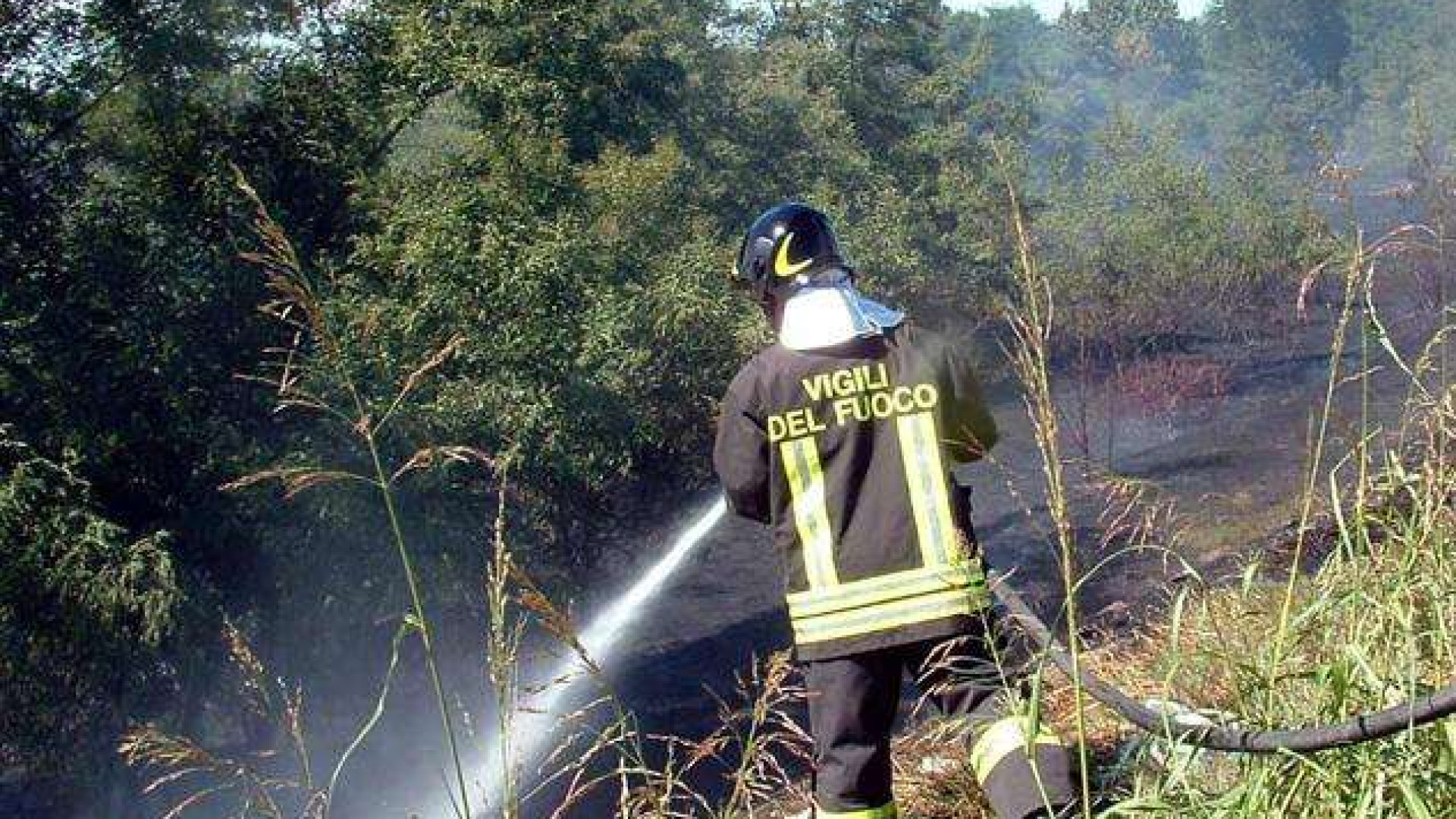 Bosco in fiamme a Rocca d'Olgisio, sul posto vigili del fuoco e carabinieri forestali