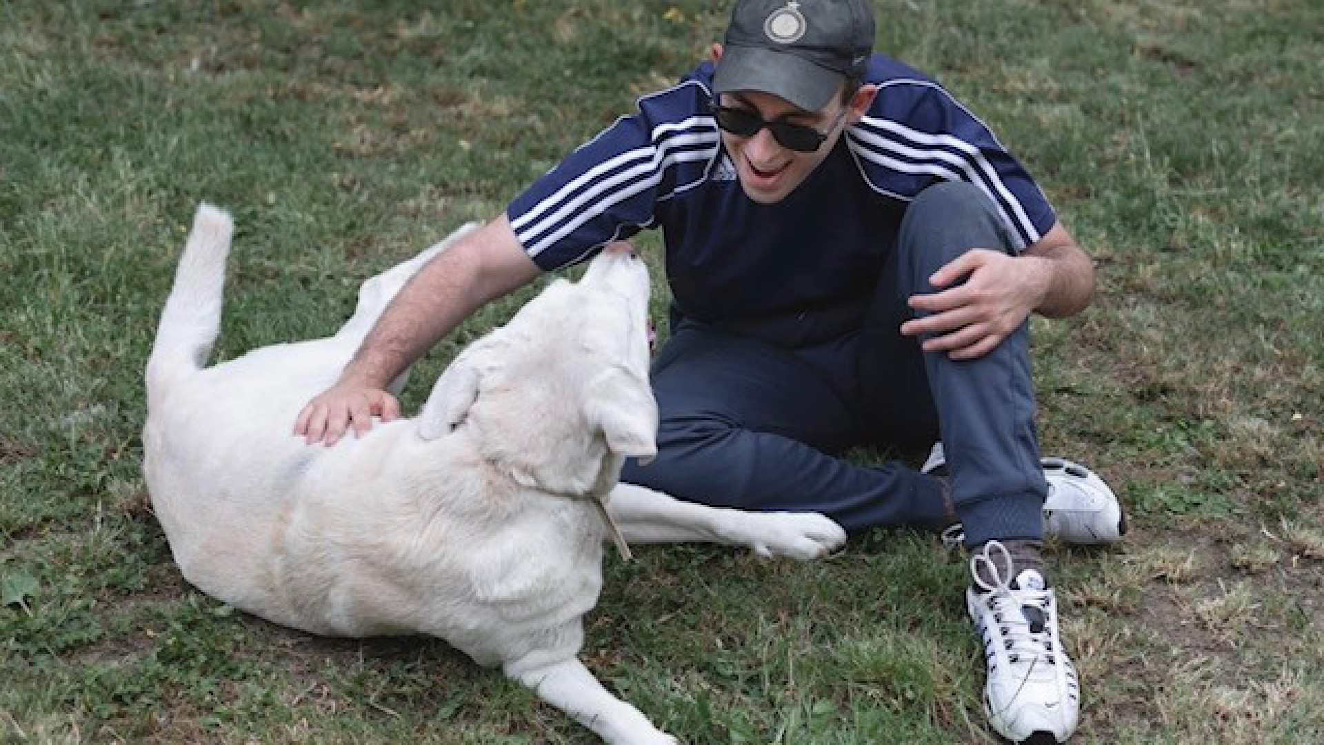 Cieco derubato del guinzaglio del suo cane guida. "Sono disgustato"