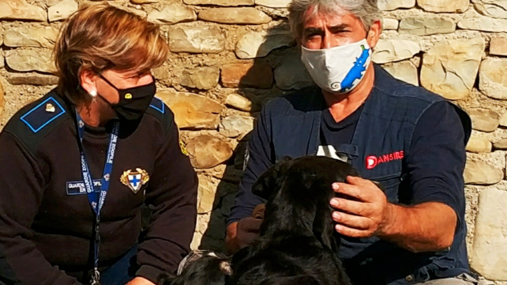 Investito e incastrato nell'auto, cane salvato da Enpa e Asilo del cane