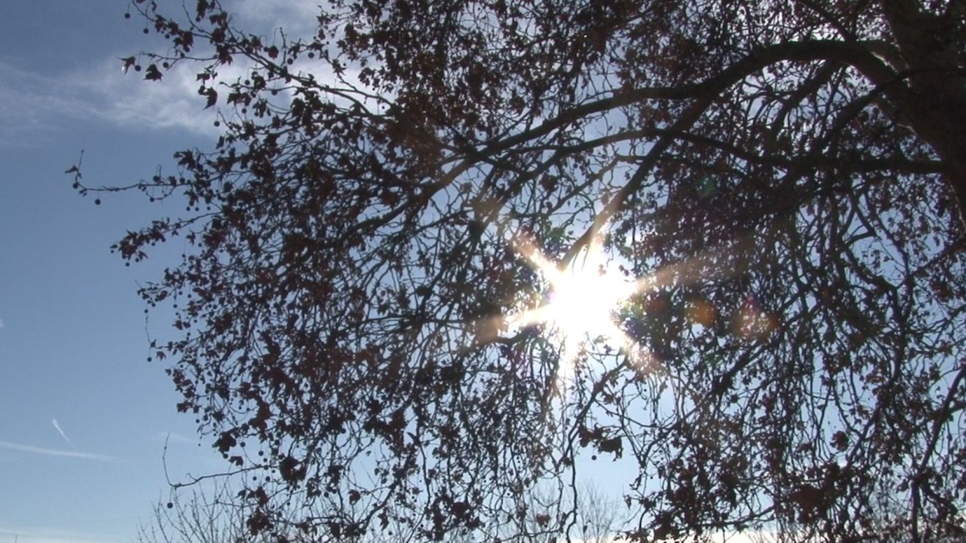 Temperature estreme, prolungata l'allerta meteo. Rischio incendi in collina